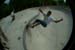 powell07