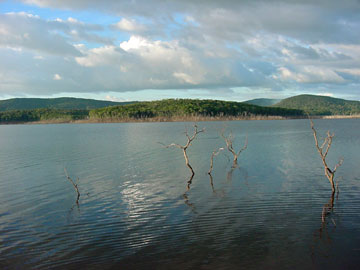 Round Island - Lago Guri