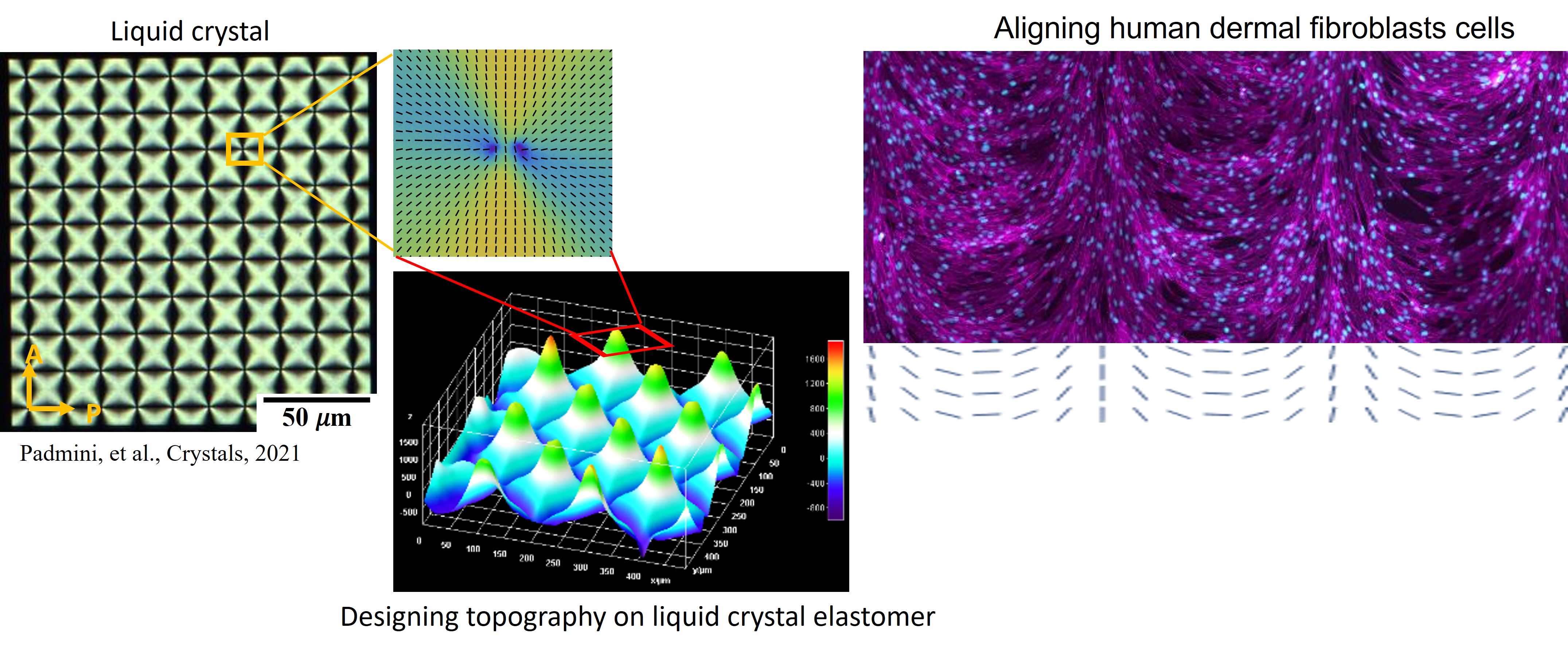 Photopatterning example