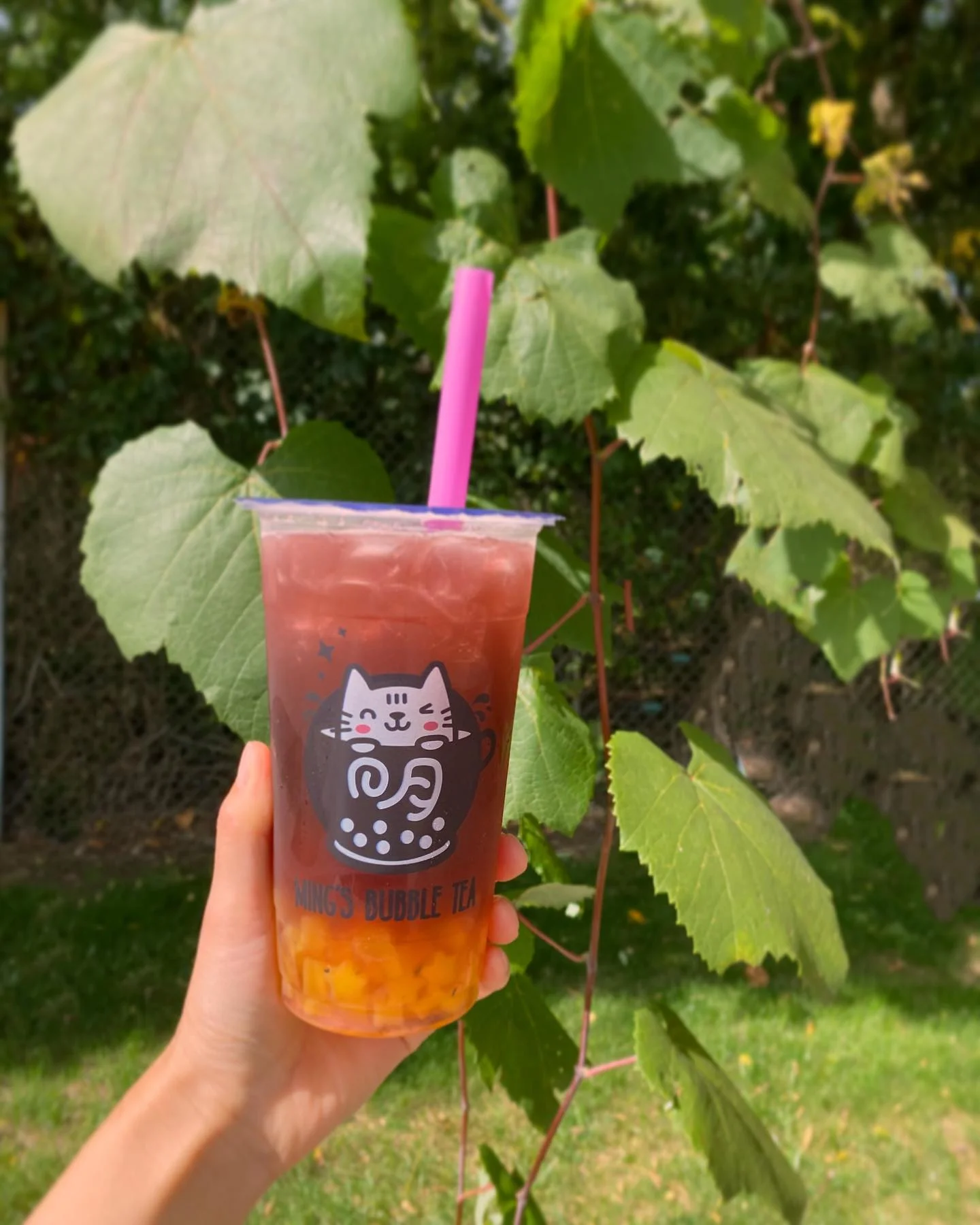 Pomegranate Blueberry Green Tea