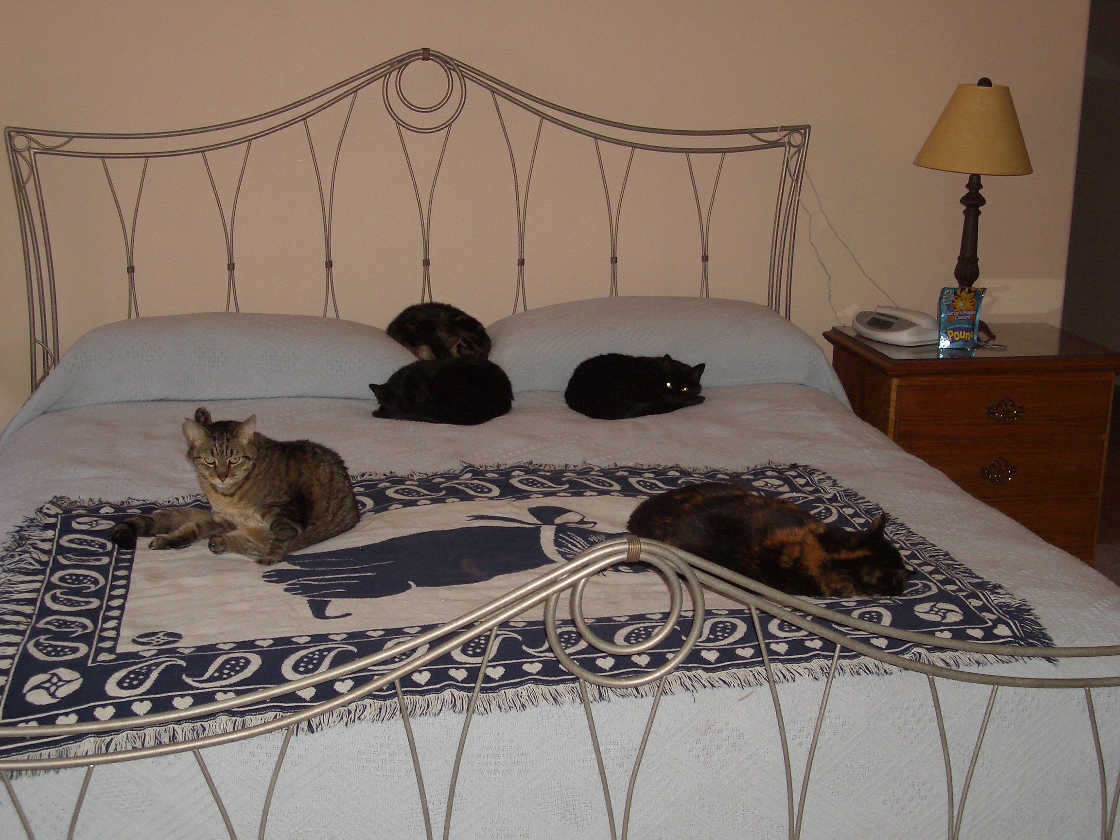all five