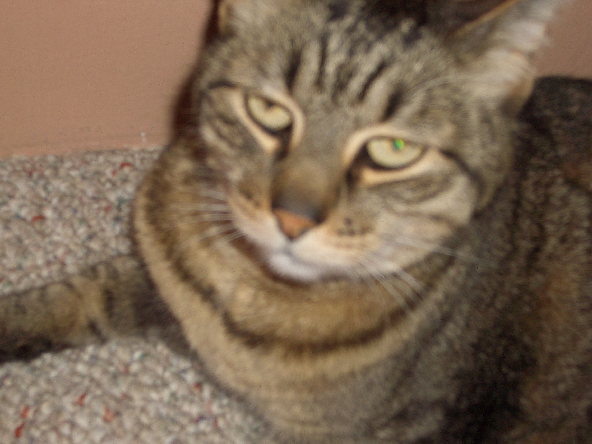 Rocky after move